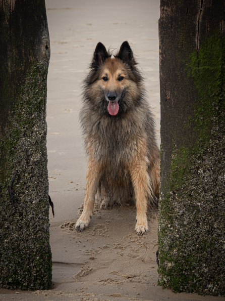 2025-09-20 IMG_10038