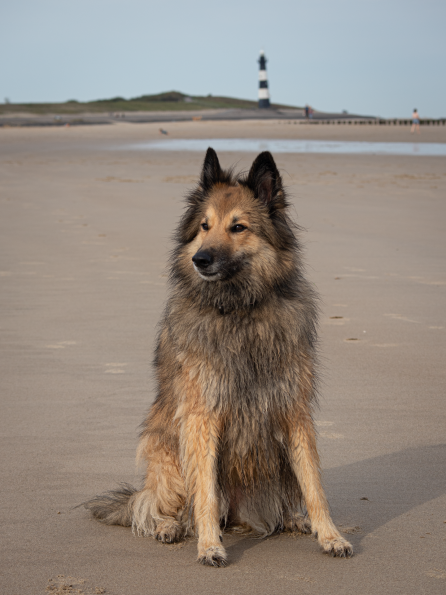 2025-09-20 IMG_10092