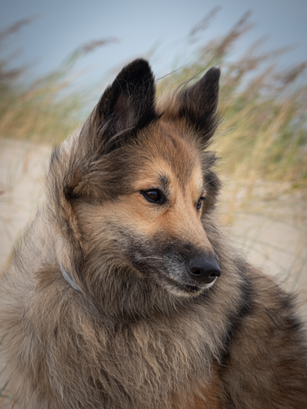 2025-09-20 IMG_10297